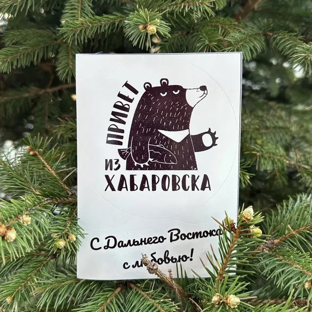 Стикер Привет из Хабаровска · 1 г